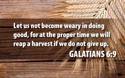 Galatians 6:9