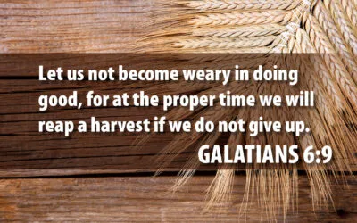 Galatians 6:9